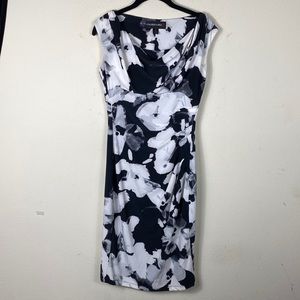 Coleen Lopez Stretchy Slimming Dress